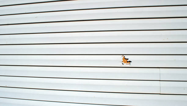 Best Historical Building Siding Restoration  in Harper Woods, MI
