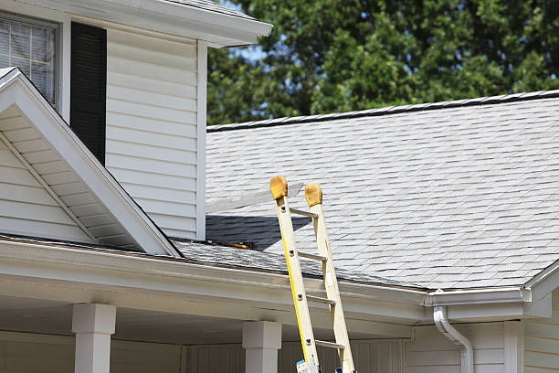 Best Engineered Wood Siding  in Harper Woods, MI